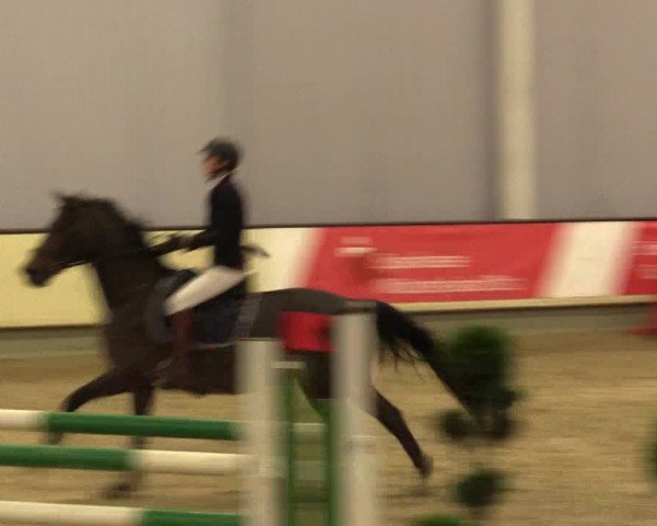 Reitturnier Münster-Handorf 2015