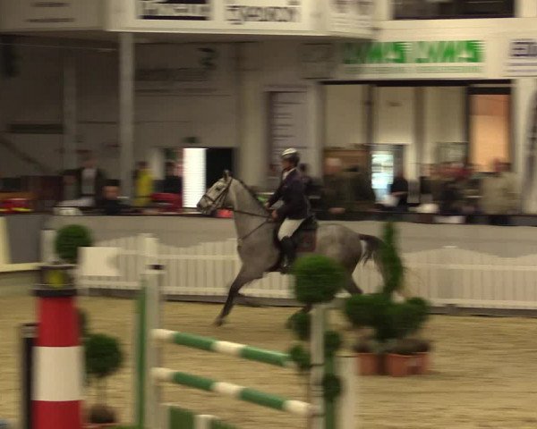 Reitturnier Münster-Handorf 2015