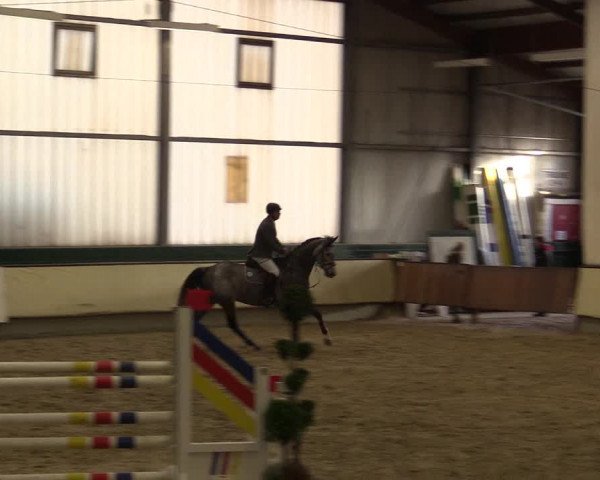 Reitturnier Münster-Handorf 2015