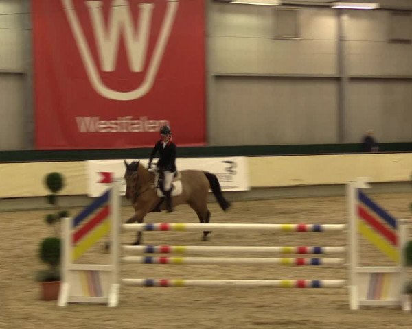 Reitturnier Münster-Handorf 2015
