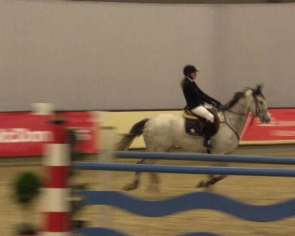 Reitturnier Münster-Handorf 2015