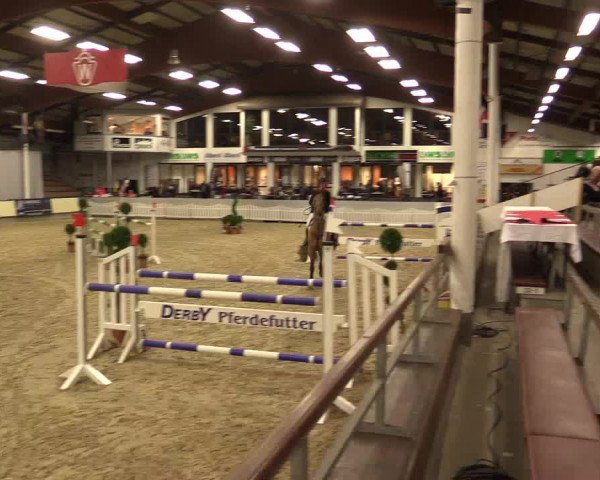 Reitturnier Münster-Handorf 2015