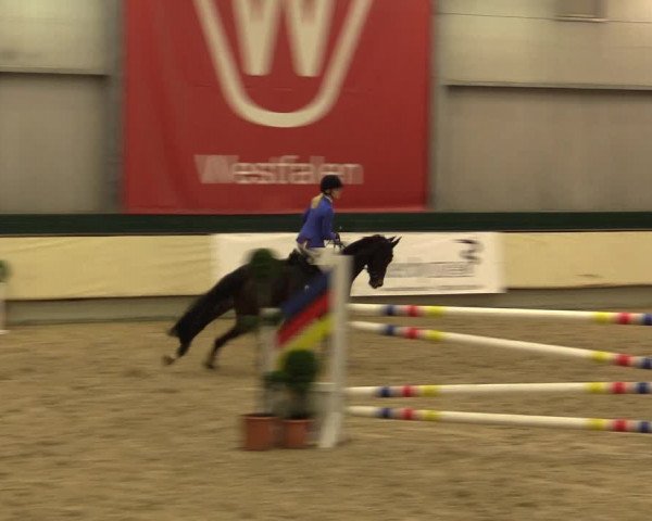 Reitturnier Münster-Handorf 2015