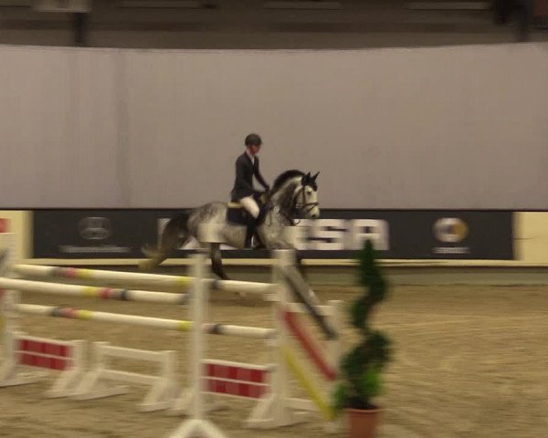 Reitturnier Münster-Handorf 2015