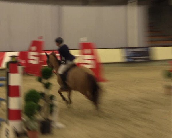 Reitturnier Münster-Handorf 2015