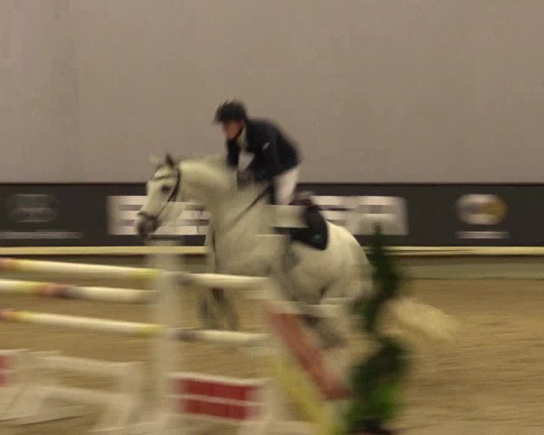 Reitturnier Münster-Handorf 2015