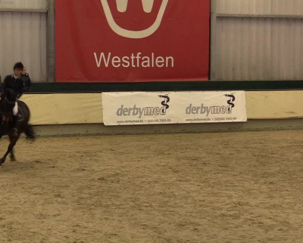 Reitturnier Münster-Handorf 2015