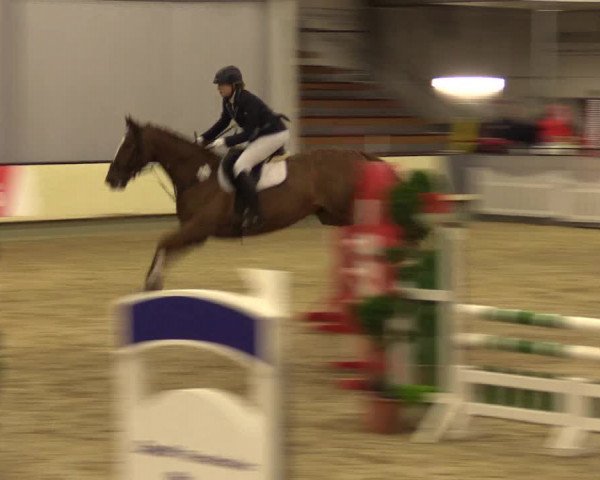 Reitturnier Münster-Handorf 2015