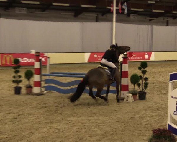 Reitturnier Münster-Handorf 2015