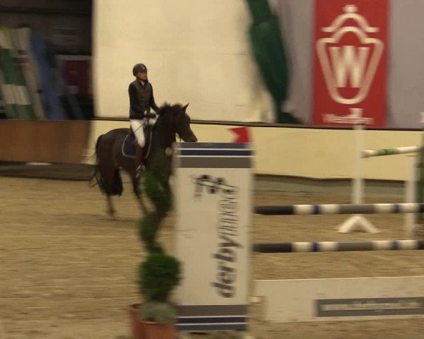 Reitturnier Münster-Handorf 2015