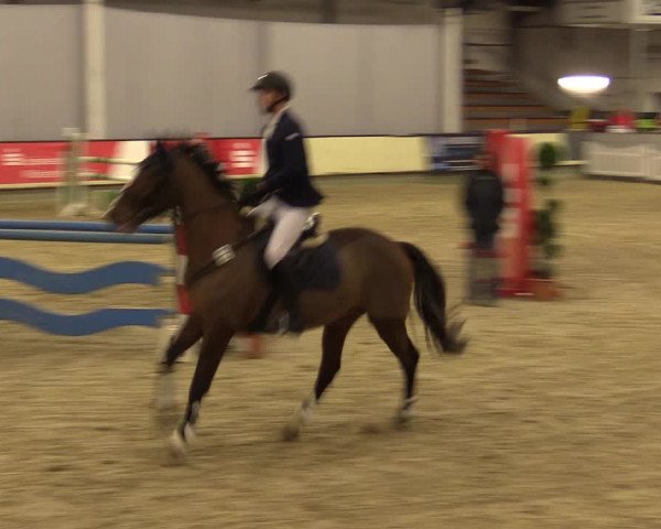 Reitturnier Münster-Handorf 2015
