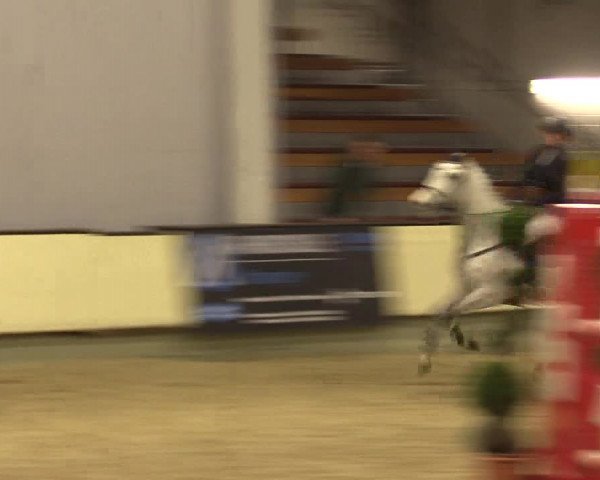 Reitturnier Münster-Handorf 2015