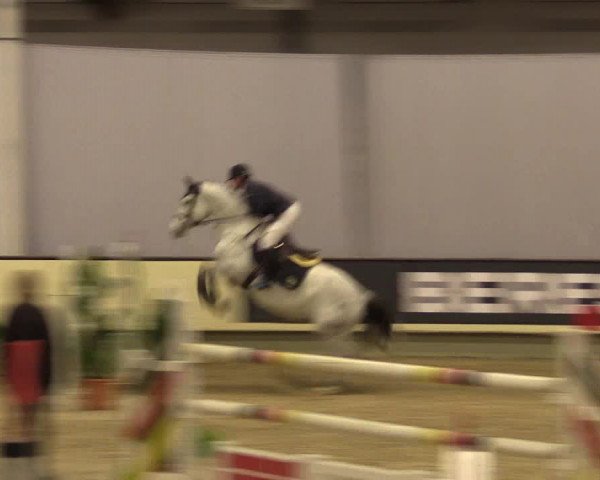 Reitturnier Münster-Handorf 2015