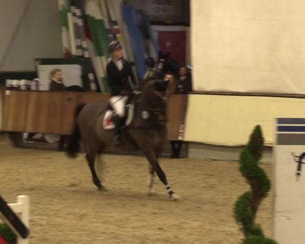 Reitturnier Münster-Handorf 2015