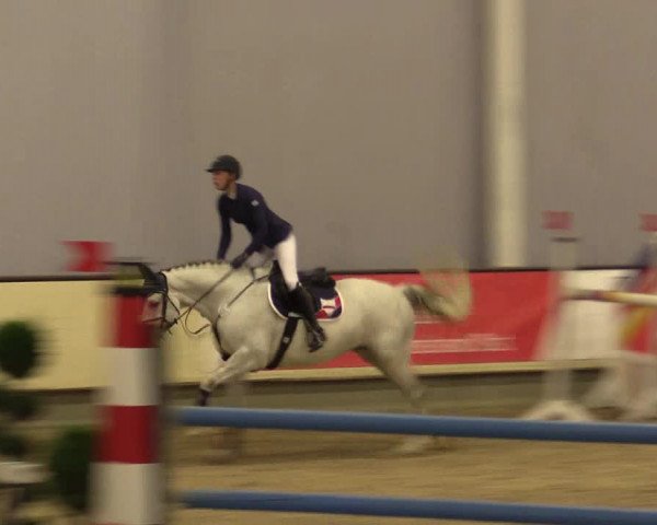 Reitturnier Münster-Handorf 2015