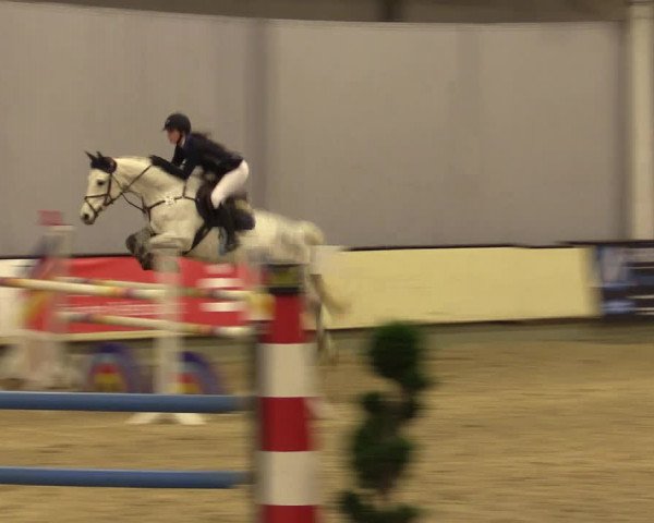 Reitturnier Münster-Handorf 2015