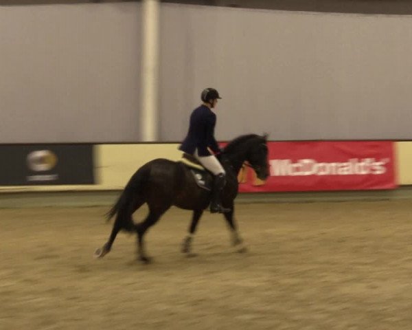 Reitturnier Münster-Handorf 2015