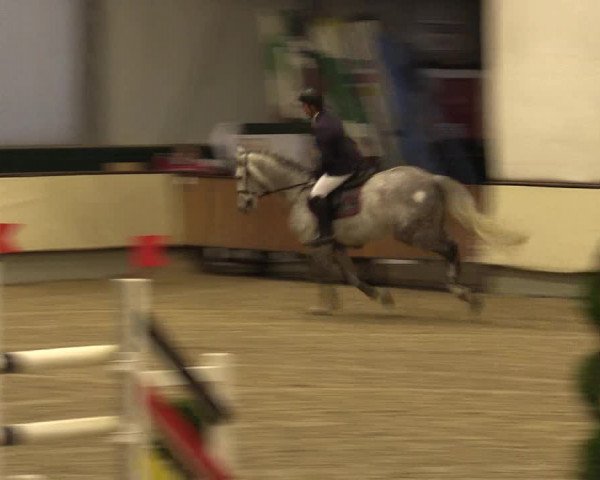 Reitturnier Münster-Handorf 2015