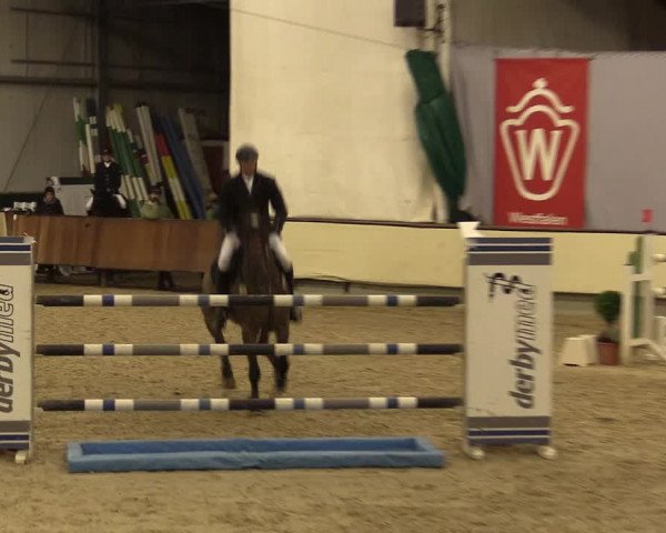 Reitturnier Münster-Handorf 2015