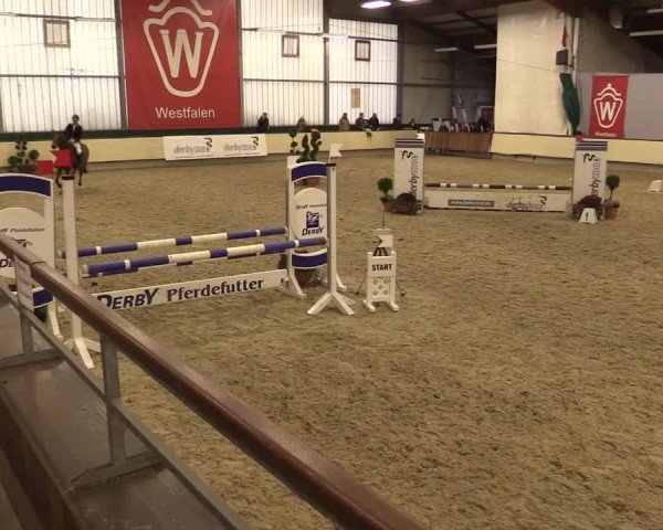 Reitturnier Münster-Handorf 2015