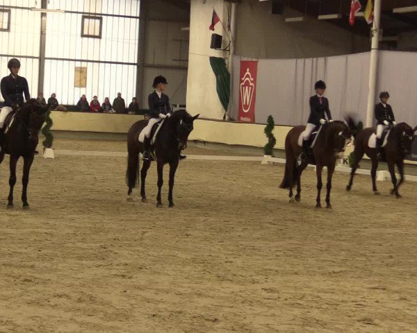 Reitturnier Münster-Handorf 2015