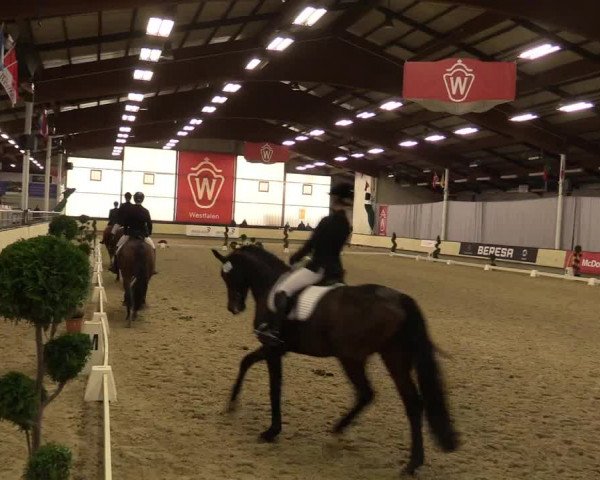Reitturnier Münster-Handorf 2015