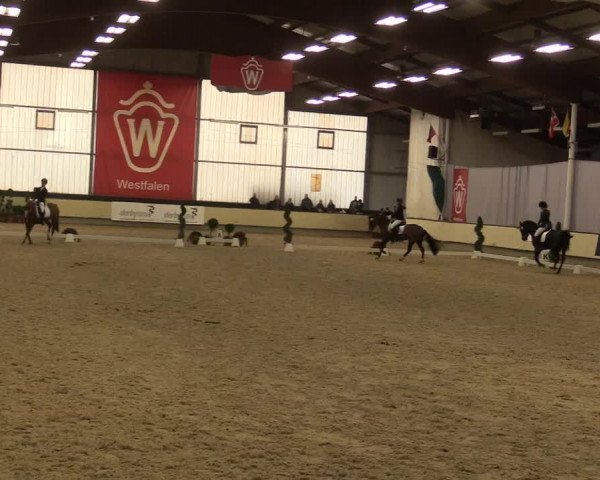 Reitturnier Münster-Handorf 2015
