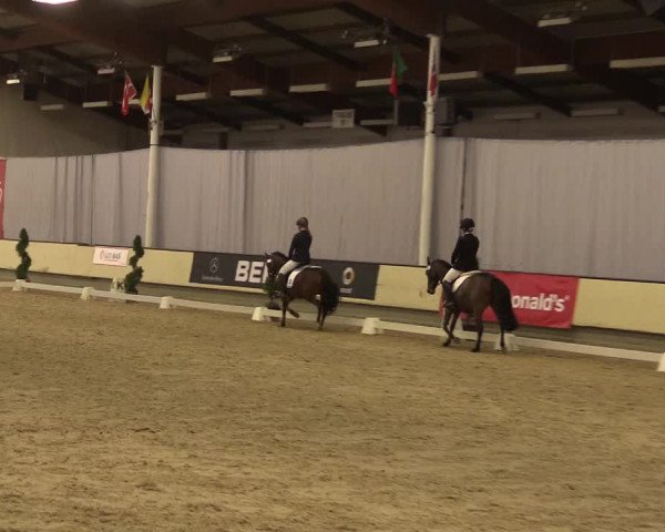 Reitturnier Münster-Handorf 2015