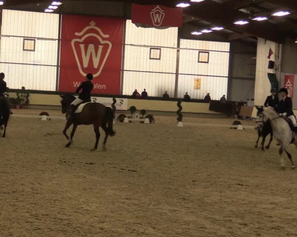 Reitturnier Münster-Handorf 2015