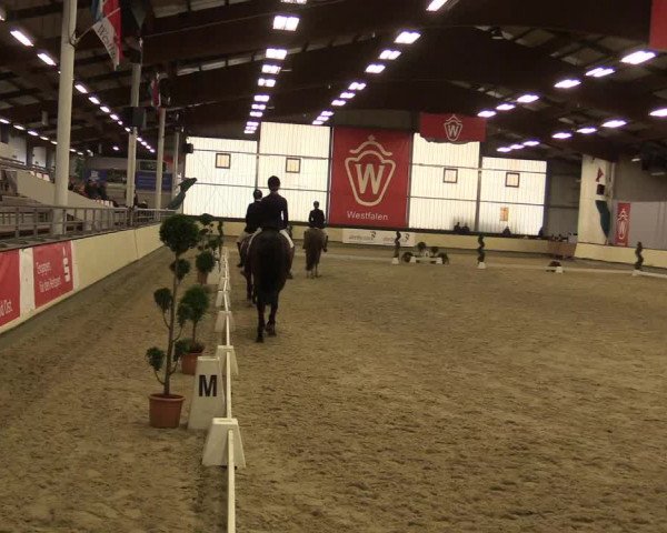 Reitturnier Münster-Handorf 2015