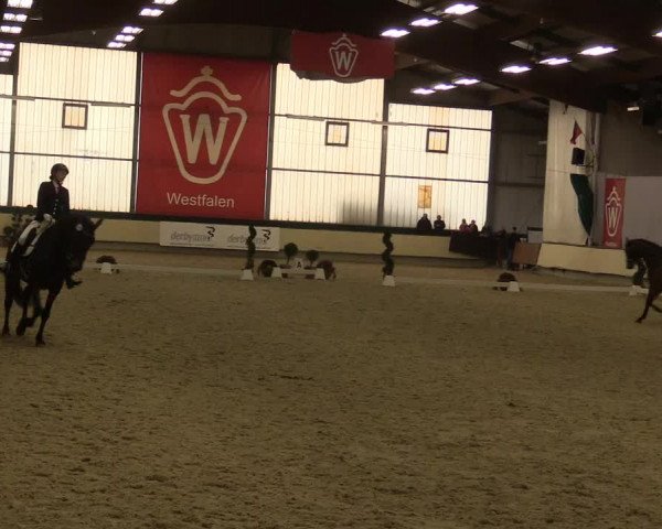 Reitturnier Münster-Handorf 2015