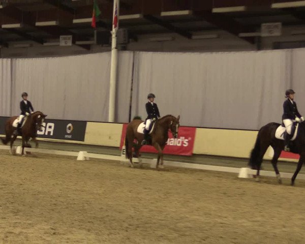 Reitturnier Münster-Handorf 2015