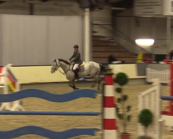 Reitturnier Münster-Handorf 2015