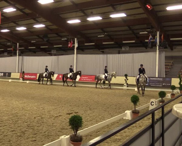 Reitturnier Münster-Handorf 2015