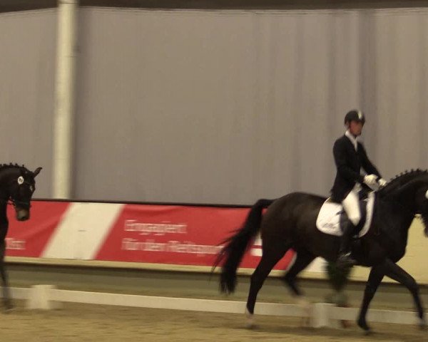 Reitturnier Münster-Handorf 2015