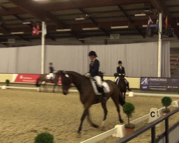 Reitturnier Münster-Handorf 2015