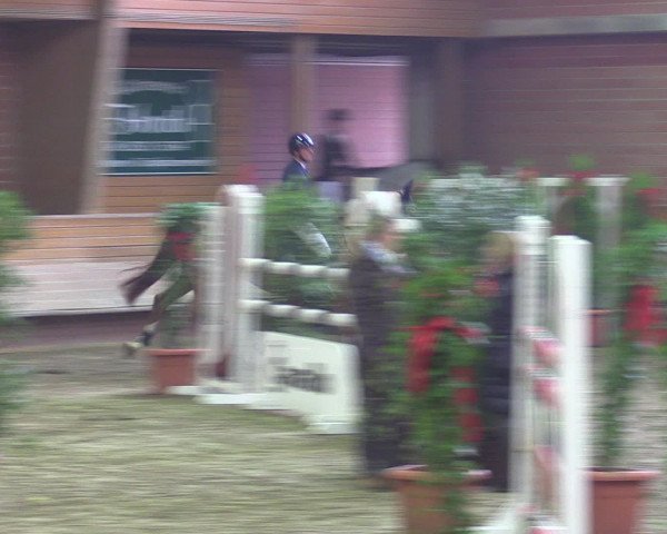 Reitturnier Paderborn 2015