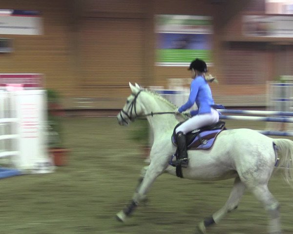 Reitturnier Paderborn 2015