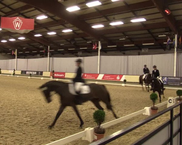 Reitturnier Münster-Handorf 2015