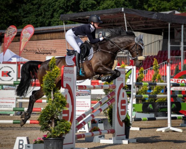 jumper Calina Lu (Holsteiner, 2010, from Lasino)
