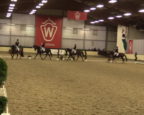Reitturnier Münster-Handorf 2015