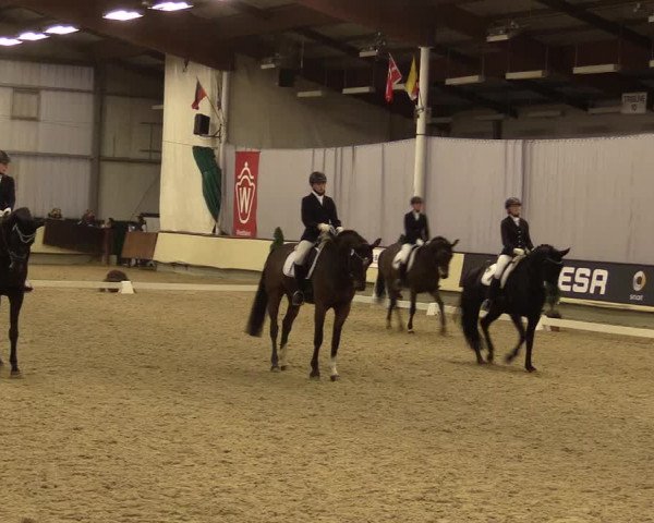Reitturnier Münster-Handorf 2015