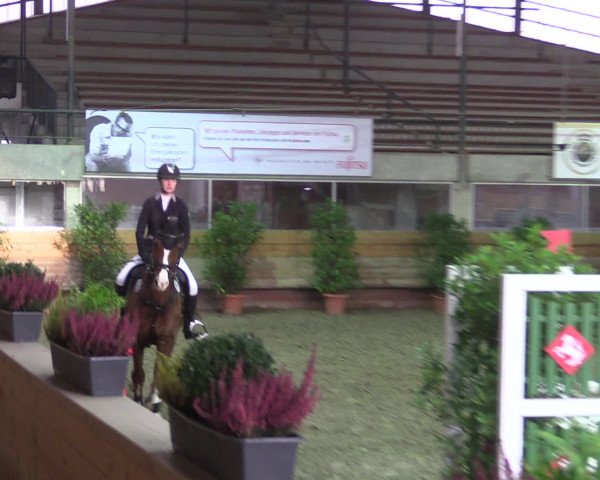 Reitturnier Paderborn 2015