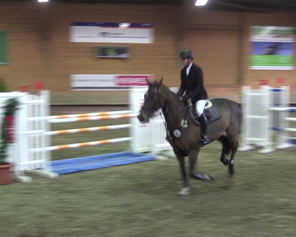 Reitturnier Paderborn 2015