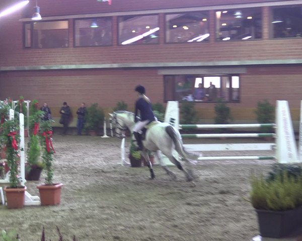 Reitturnier Paderborn 2015