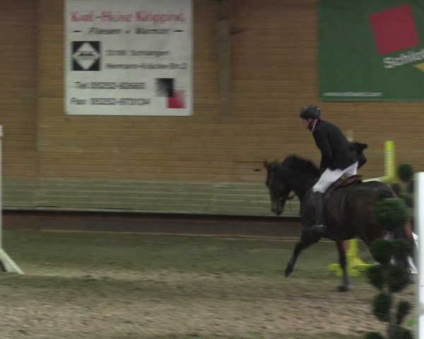 Reitturnier Paderborn 2015