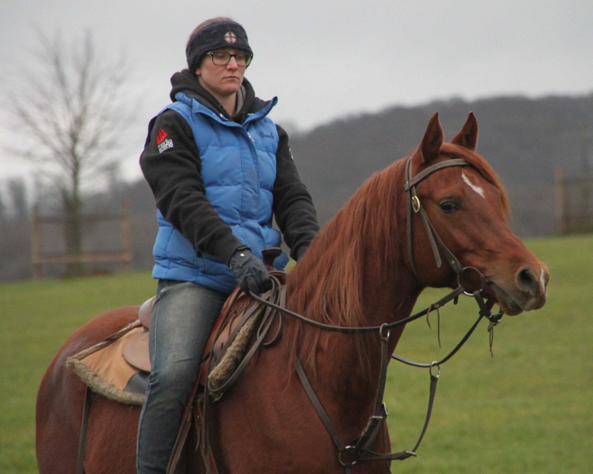 Pferd Pride (Vollblutaraber, 2016, von Ekstern 1994 ox)