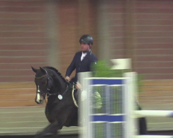 Reitturnier Paderborn 2015
