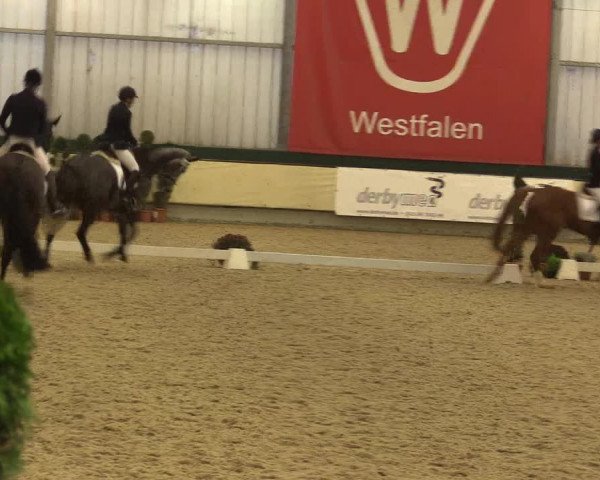 Reitturnier Münster-Handorf 2015