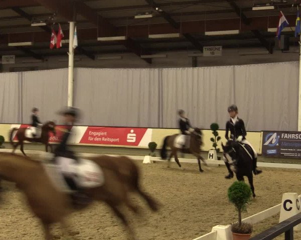 Reitturnier Münster-Handorf 2015